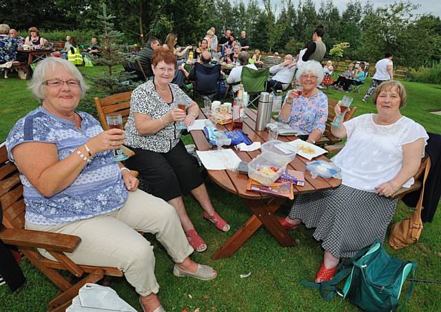 Picnickers Springhill Hospice Summer Serenade