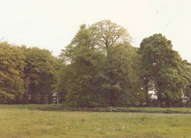 Bamford Old Hall grounds