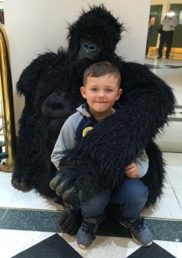 Young shoppers meet the gorilla family at the Wheatsheaf Shopping Centre 