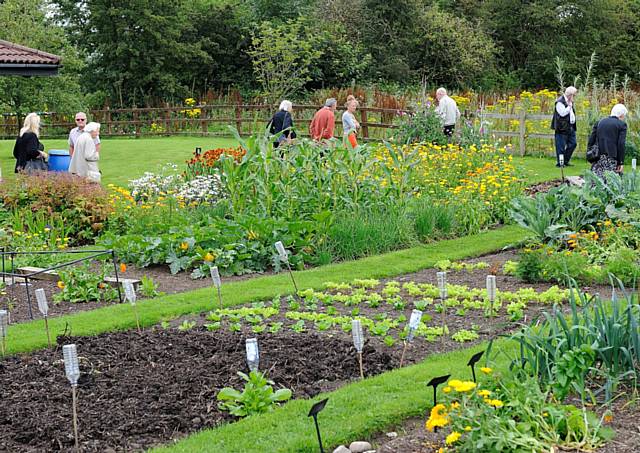 Springhill Hospice Open Garden Day