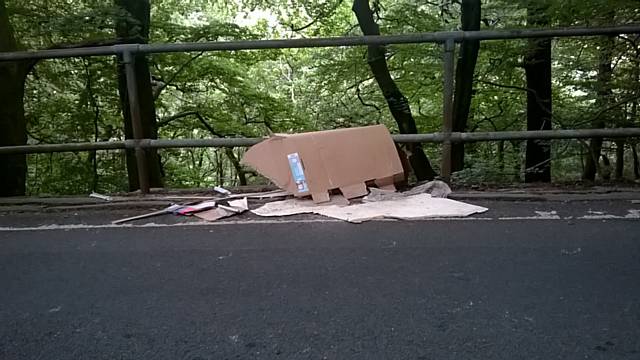 Flytipping in Ashworth Valley