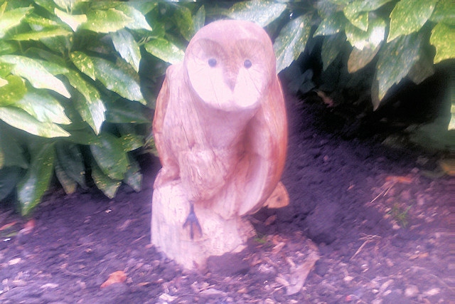 The handcrafted wooden Barn Owl in Hare Hill Park