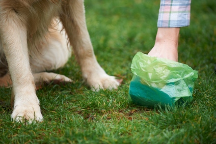 Dogs Trust is encouraging dog owners to pick up after their dogs 