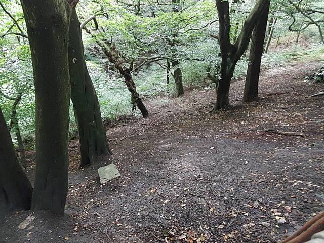 Ashworth Valley following the clean up 