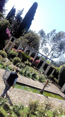 The garden of the villa