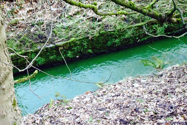 River Beal - bright green