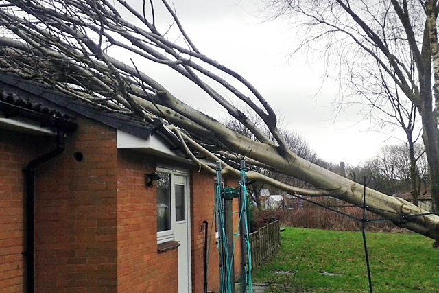 Storm Doris brings tree down onto bungalow in Norden