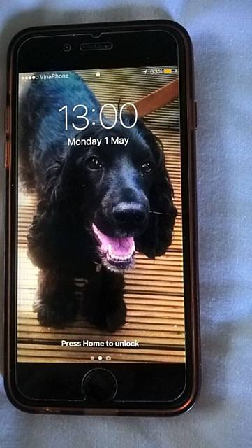 A black iPhone, found on An Bang beach, Hoi An area of Vietnam