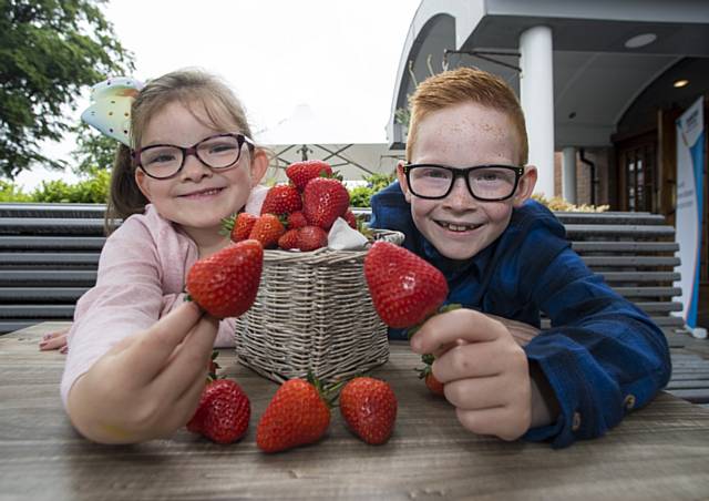 Strawberries crowned the North West’s favourite fruit 