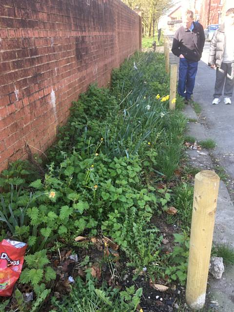 Before the work on Cecil Street Community Garden