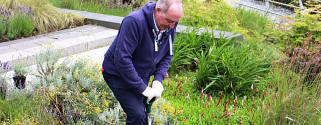 Blooming beautiful in Rochdale this summer with floral displays blossoming across the borough