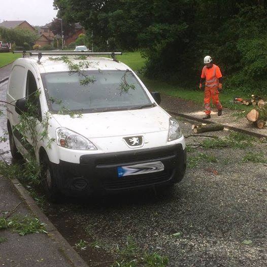 The van after the tree was removed 