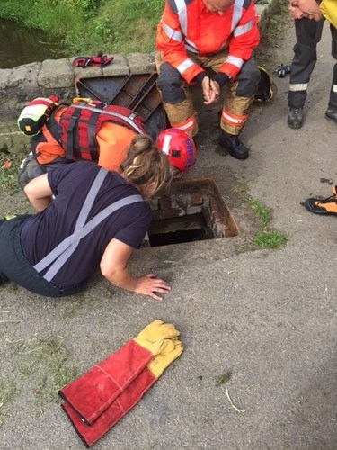 Dog rescue from a culvert 