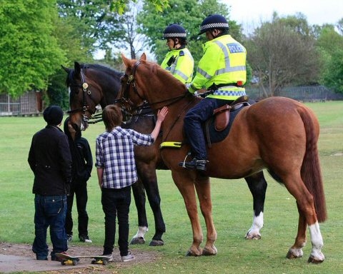 Police horses