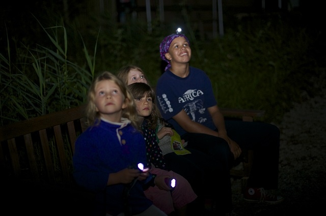 Big Wild Sleepout, children bat spotting
