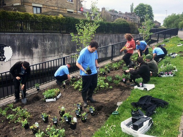 Horticulture students from Hopwood Hall College renovate sections of Rochdale Canal in Littleborough 