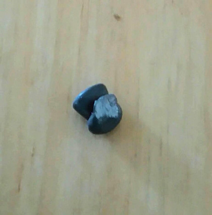 The damaged air gun pellet that Casper was shot with after removal