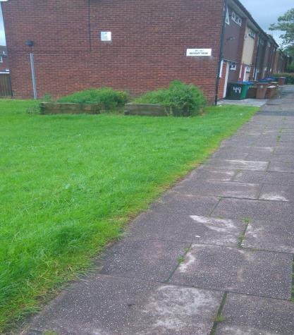 Planters at the top of Buckley View, Smallbridge