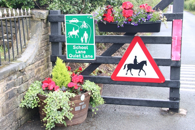 Planters in Ashworth Valley