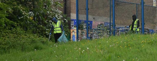 Youth clean up