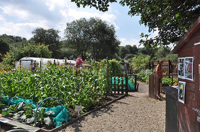 Kellett Street allotment