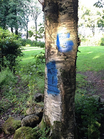 Councillors calling for help to stop a growing problem with graffiti around Norden