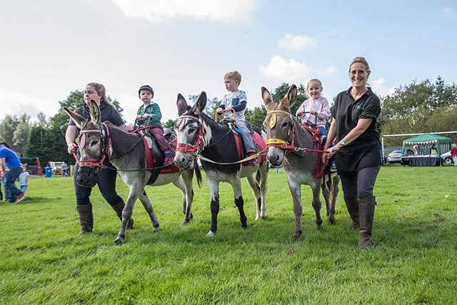 Wardle Village Fete