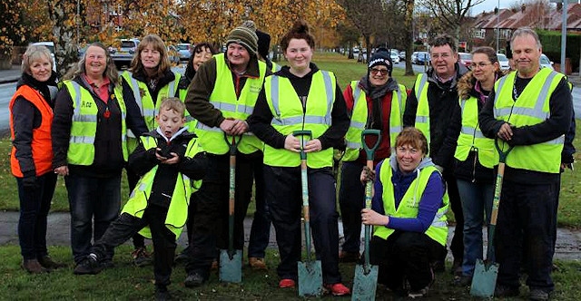 Middleton in Bloom planted scores of daffodil bulbs in Alkrington