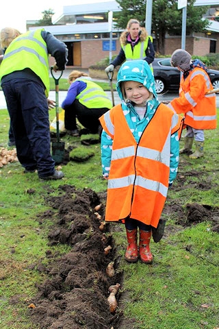 Middleton in Bloom planted scores of daffodil bulbs in Alkrington