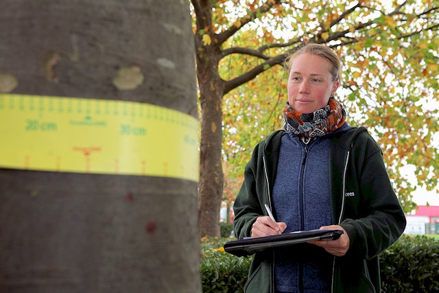 City of Trees, Greater Manchester’s Community Forest Trust itree eco survey 