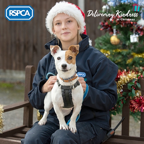 RSPCA 