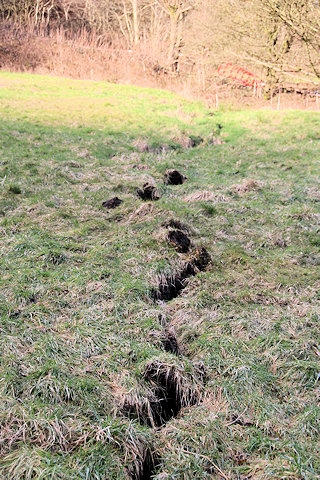 Large crack in a field in Ashworth Valley