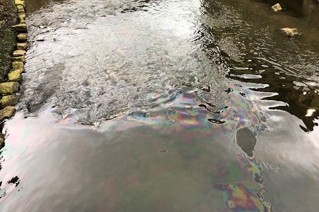 The 'oil' floating on the surface of the river