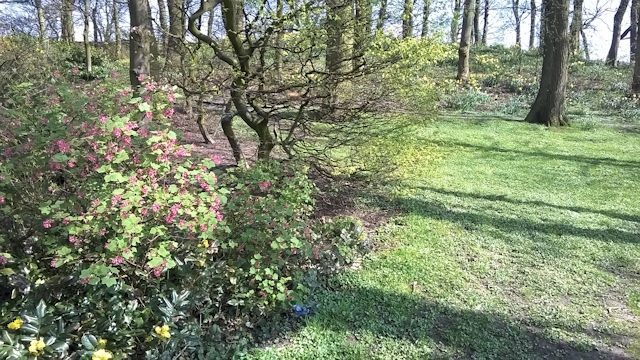 Milnrow Memorial Park