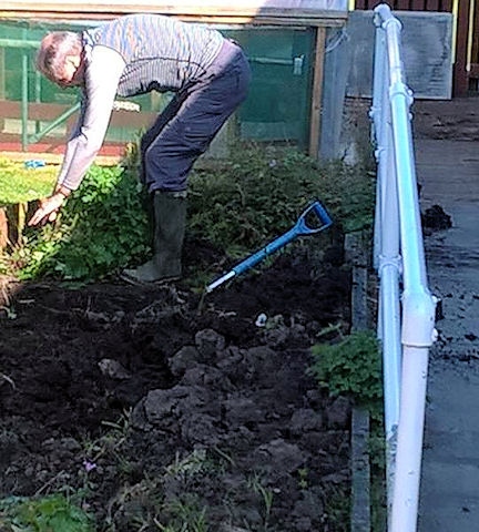 Peter Hayward, Middleton Rotary Club creates a garden at Alkrington Community Centre