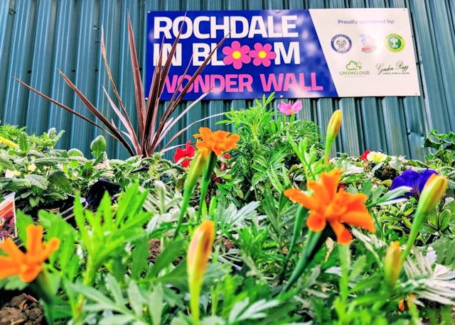 Volunteers joined forces to plant the new ‘Wonderwall’ at Rochdale’s Crown Oil Arena