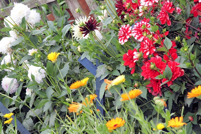 The competition aims to recognise local gardeners’ hard work and creativity