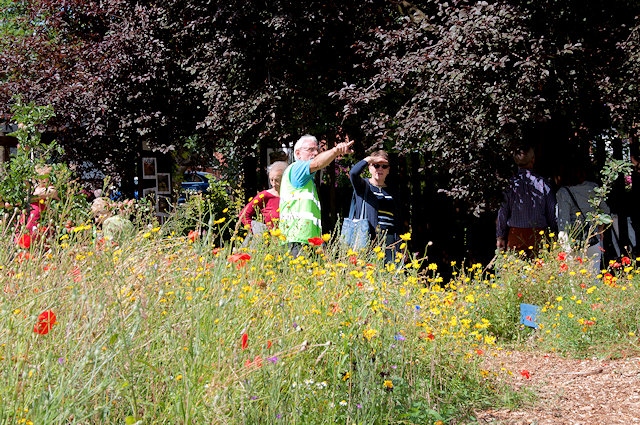 Visitors being shown round wild flower garden at The Growth Project Open Day