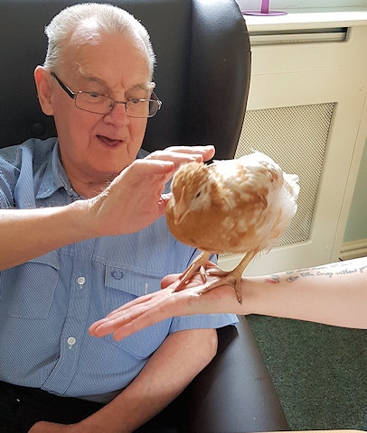 Residents at Rosemary Care Home in Milnrow, Rochdale, with their hens