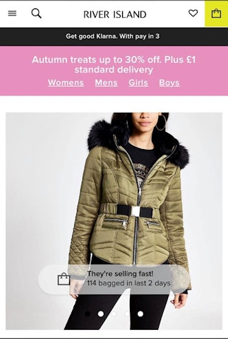 The River Island coat Denon was wearing (taken from the River Island website)