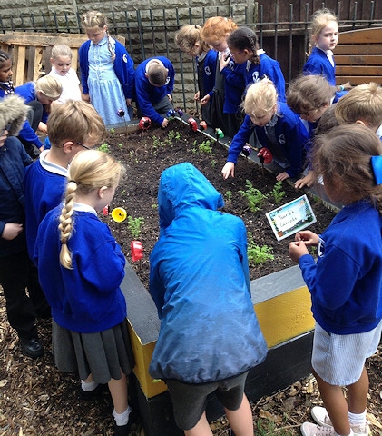 Schoolchildren in Kaden's Garden