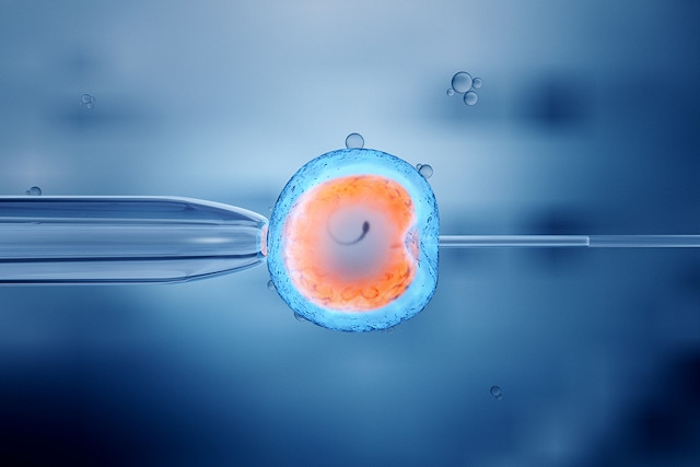 The number of IVF cycles available on the NHS has been reduced