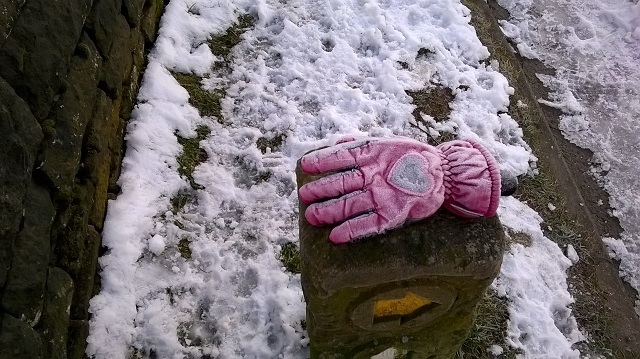 Did you lose a pink glove at Ogden yesterday?