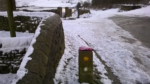 Did you lose a pink glove at Ogden yesterday?