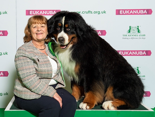 Rochdale dog wins Best of Breed award 