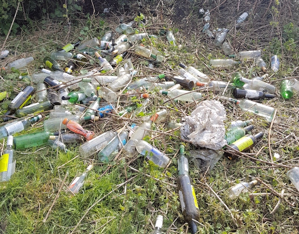 Bottles in Bamford