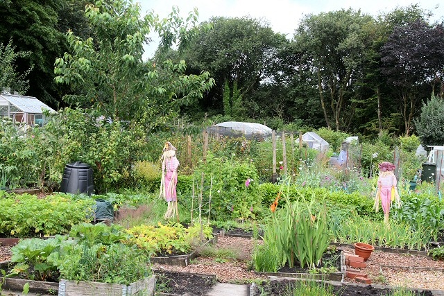 Moss Row Community Allotments in Norden