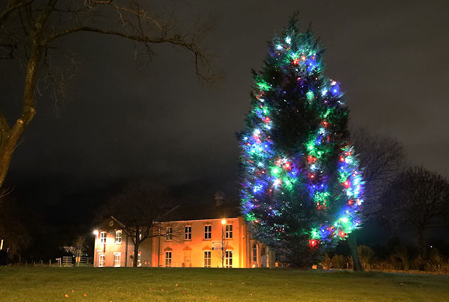 Christmas tree twinkling in Syke