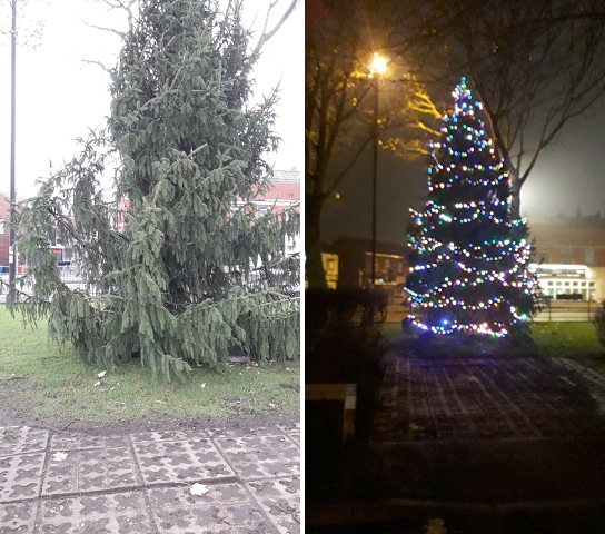 The original tree, left, has been replaced, right