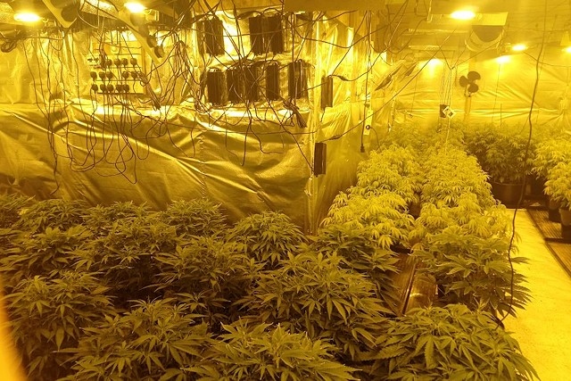 Cannabis farm discovered at a property on Cheetham Street, Rochdale